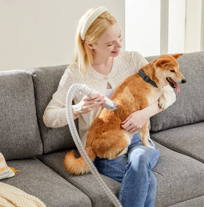 A person uses a grooming tool on a Shiba Inu dog sitting comfortably on a gray couch, showcasing a cozy pet-care moment.