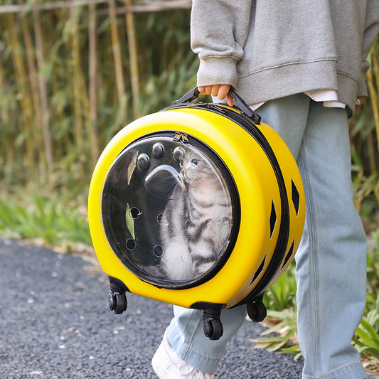 Pet Trolley Bag Transparent Reinforced Portable Cat Dog Outdoor Travel Carrier - Shopinapets  Pet Trolley Bag Transparent Reinforced Portable Cat Dog Outdoor Travel Carrier Shopinapets #