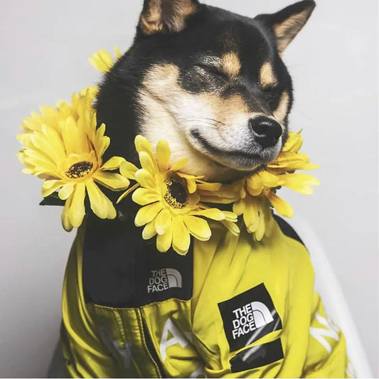 Pet Waterproof Jacket - Shopinapets  Pet Waterproof Jacket Shopinapets #