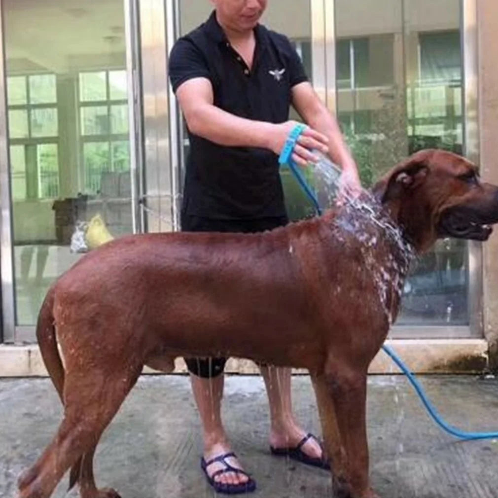 A man in a black shirt washes a large brown dog with a hose outdoors, water splashing and sunlight shining through windows behind them.