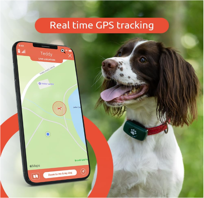 PitPat GPS Tracker for Dogs - No Subscription Fees - 100% Waterproof Pet Tracker (Green) - Shopinapets  PitPat GPS Tracker for Dogs - No Subscription Fees - 100% Waterproof Pet Tracker (Green) Shopinapets #