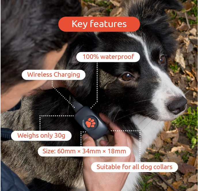 PitPat GPS Tracker for Dogs - No Subscription Fees - 100% Waterproof Pet Tracker (Green) - Shopinapets  PitPat GPS Tracker for Dogs - No Subscription Fees - 100% Waterproof Pet Tracker (Green) Shopinapets #