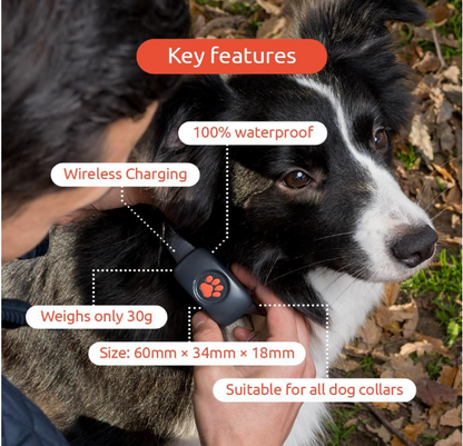 PitPat GPS Tracker for Dogs - No Subscription Fees - 100% Waterproof Pet Tracker (Green) - Shopinapets  PitPat GPS Tracker for Dogs - No Subscription Fees - 100% Waterproof Pet Tracker (Green) Shopinapets #