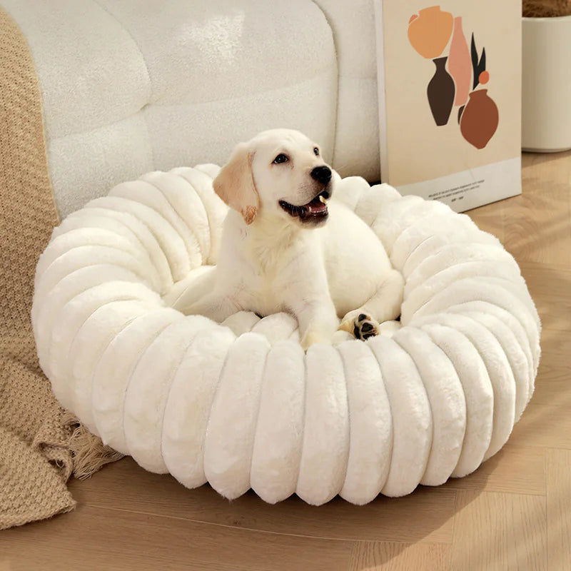 Plush Round Cat & Dog Nest - Shopinapets Material: Long plush for ultimate softness Design: Round shape for cozy nesting Warmth: Keeps pets warm during winter Comfort: Super soft mat for deep sleeping Use: Ideal for both cats and dogs Placement: Suitable for sofas, beds, and pet kennels Plush Round Cat & Dog Nest Shopinapets #