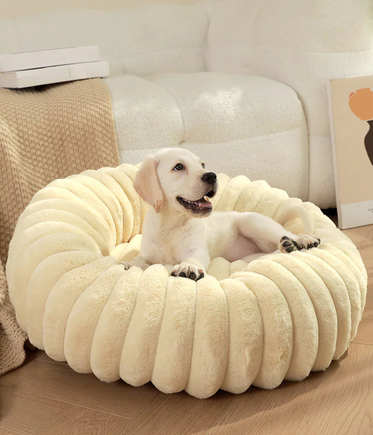 Plush Round Cat & Dog Nest - Shopinapets Material: Long plush for ultimate softness Design: Round shape for cozy nesting Warmth: Keeps pets warm during winter Comfort: Super soft mat for deep sleeping Use: Ideal for both cats and dogs Placement: Suitable for sofas, beds, and pet kennels Plush Round Cat & Dog Nest Shopinapets #