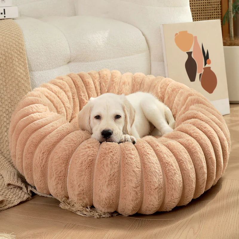 Plush Round Cat & Dog Nest - Shopinapets Material: Long plush for ultimate softness Design: Round shape for cozy nesting Warmth: Keeps pets warm during winter Comfort: Super soft mat for deep sleeping Use: Ideal for both cats and dogs Placement: Suitable for sofas, beds, and pet kennels Plush Round Cat & Dog Nest Shopinapets #
