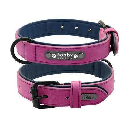 A stylish pink dog collar featuring a black ID tag with the name "Bobby" and contact details, designed for comfort and durability.