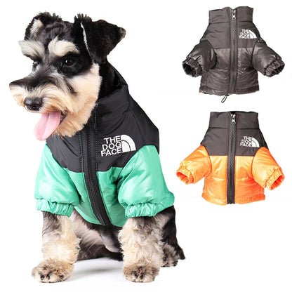 Winter Dog Jacket