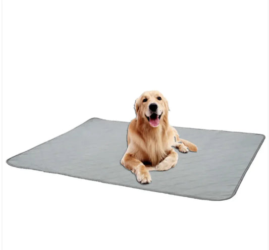 Reusable Non-Slip Pet Absorbent Pad - Shopinapets  Reusable Non-Slip Pet Absorbent Pad Shopinapets #