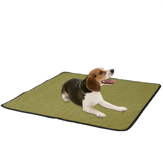 Reusable Non-Slip Pet Absorbent Pad - Shopinapets  Reusable Non-Slip Pet Absorbent Pad Shopinapets #