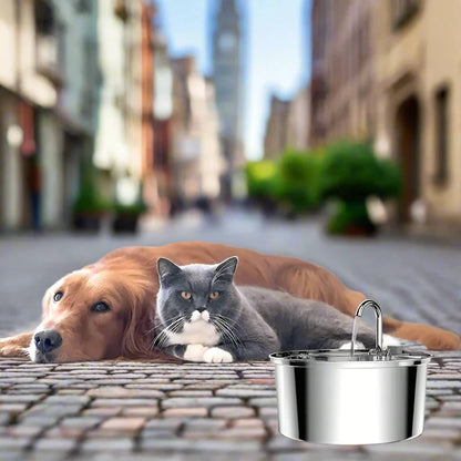 Automatic Pet Drinking Fountain