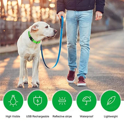 Person walking a dog on a leash with product features highlighted