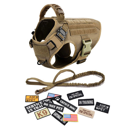 Tactical dog vest with patches and leash on a white background