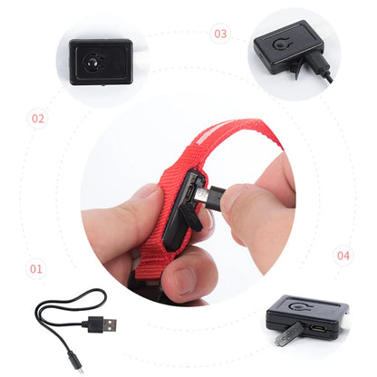 Red dog collar with attached camera and USB cable on a white background