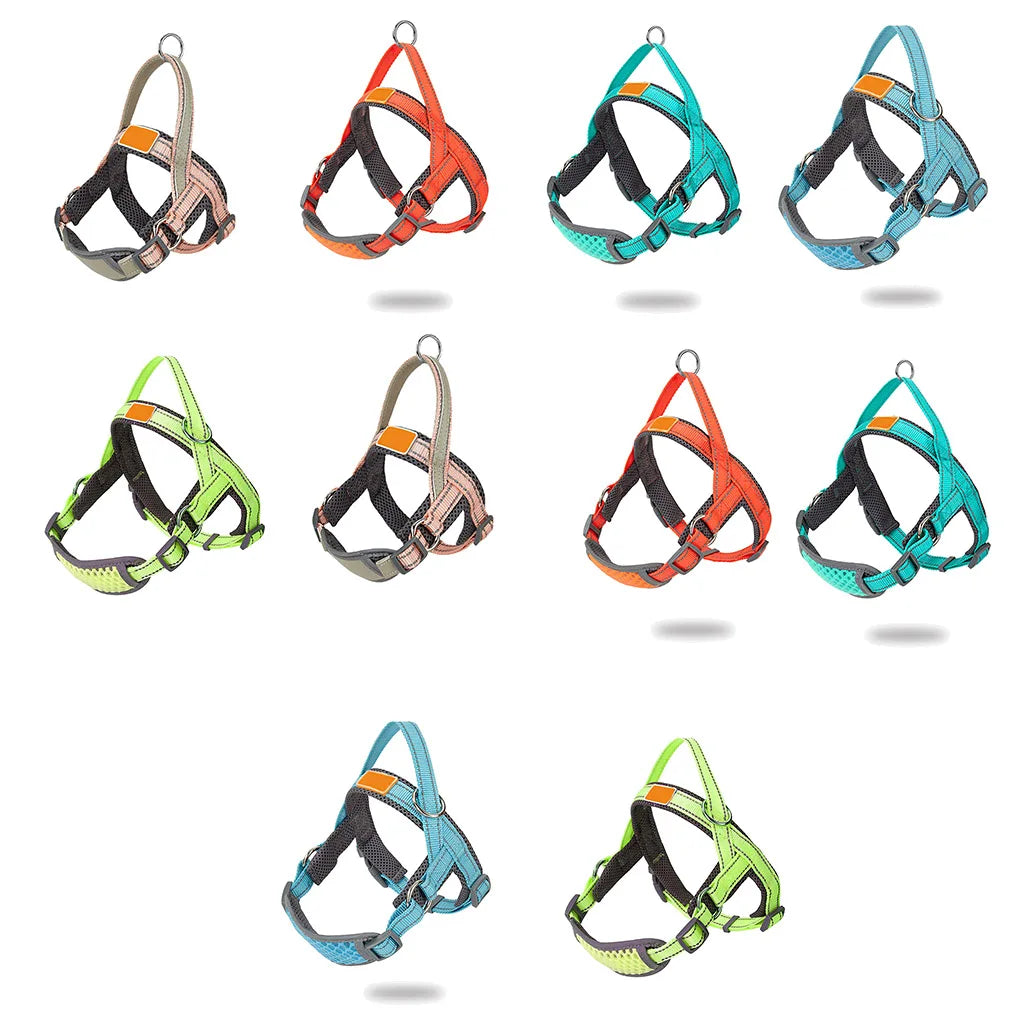 Collection of dog harnesses in various colors on a white background