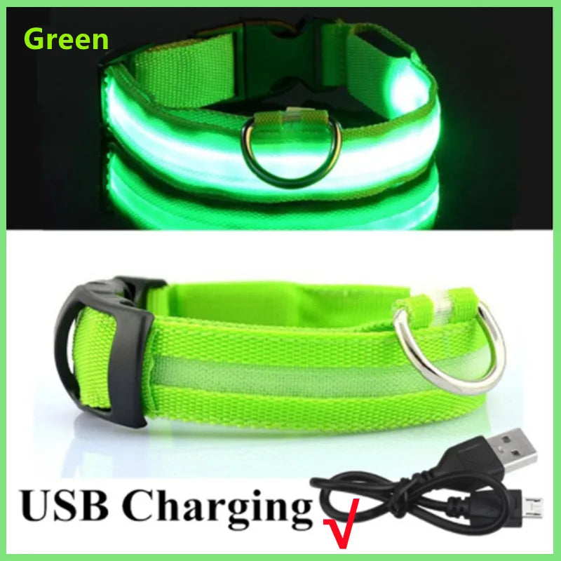 Green LED dog collar with USB charging cable on a white background