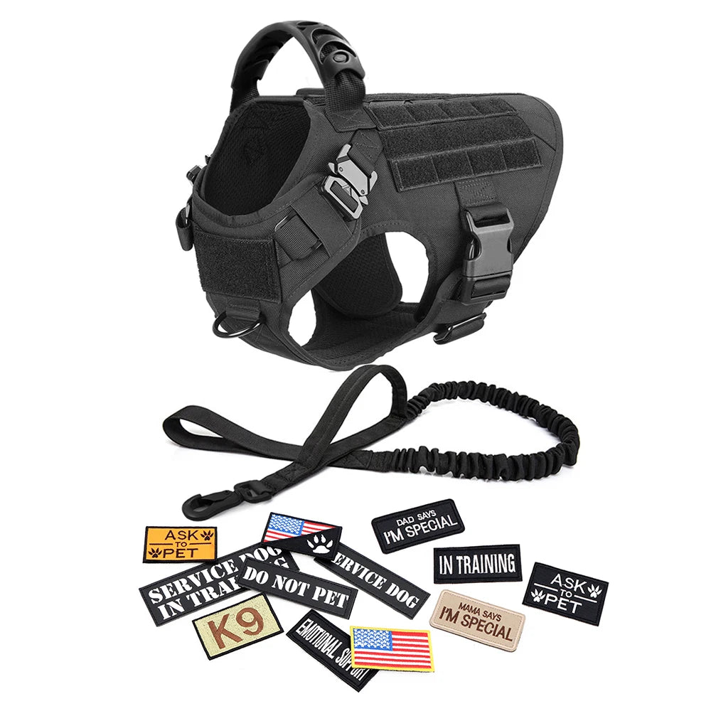 Black tactical dog harness with a leash and various dog patches on a white background