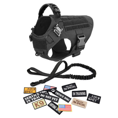 Black tactical dog harness with a leash and various dog patches on a white background