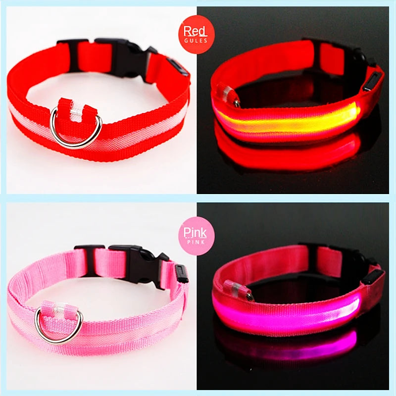 Red and pink LED dog collars on a white background