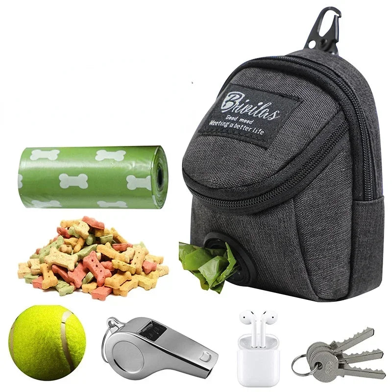 Dog accessory set including a treat pouch, chew toy, water bottle, and keys on a white background.