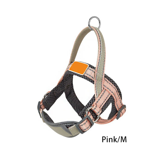 LumaPaw Safety Strap