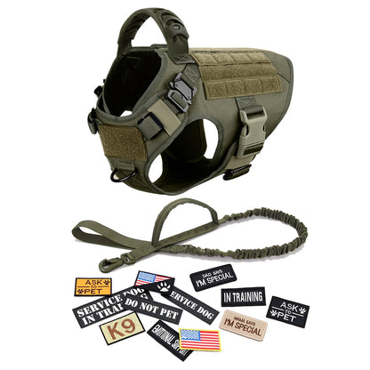 Tactical dog harness with a leash and various patches on a white background