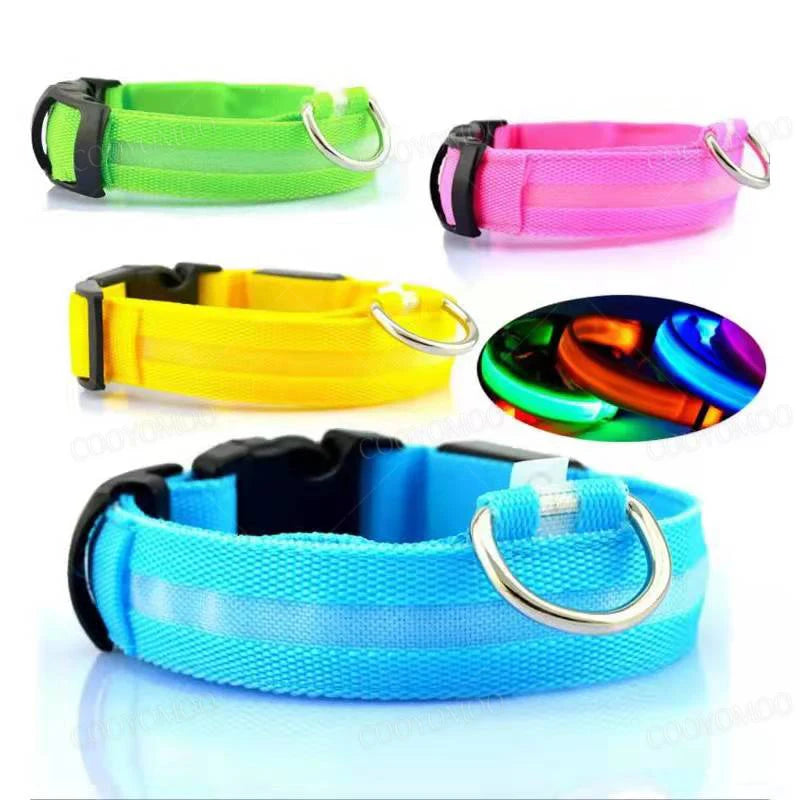 Set of colorful LED dog collars with a rainbow-colored LED light on a white background.