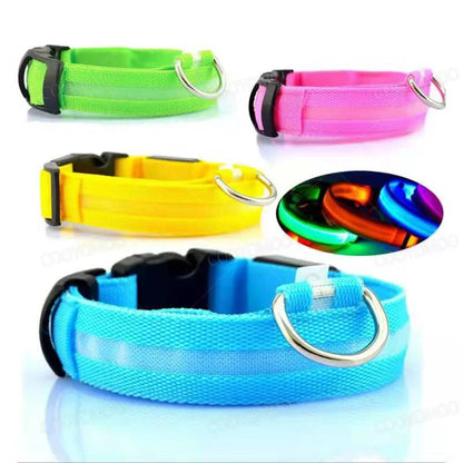 Set of colorful LED dog collars with a rainbow-colored LED light on a white background.