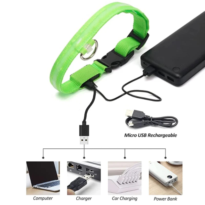 Green dog collar with USB cable charging a power bank on a white background
