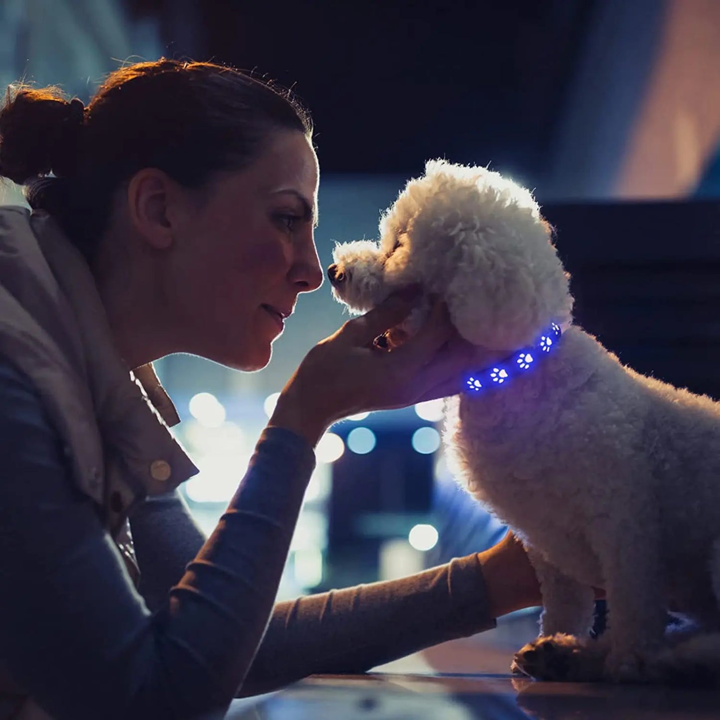 Woman petting a small white dog with a glowing collar in an outdoor setting