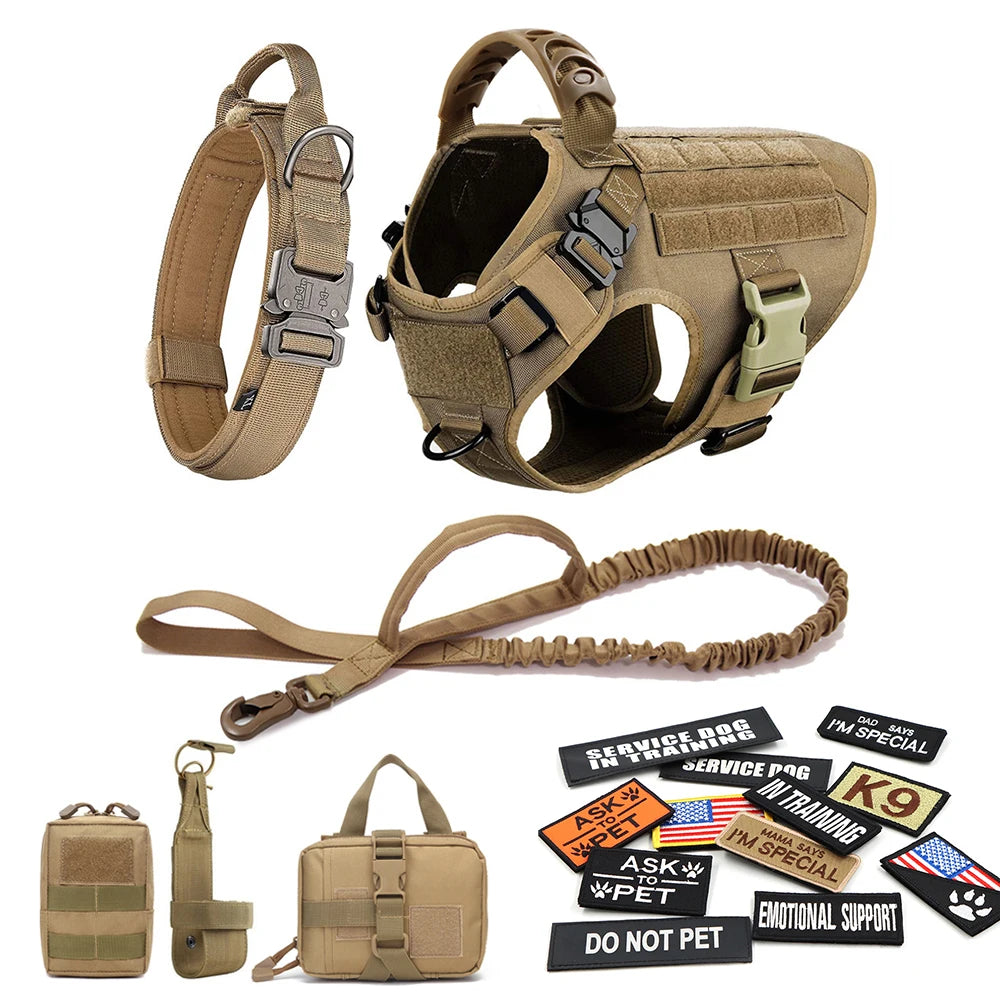 Tactical dog harness, leash, and accessories with patches on a white background