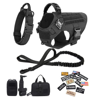 Black dog harness, leash, and accessories on a white background