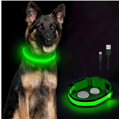 Dog wearing a green LED collar with batteries on a black background