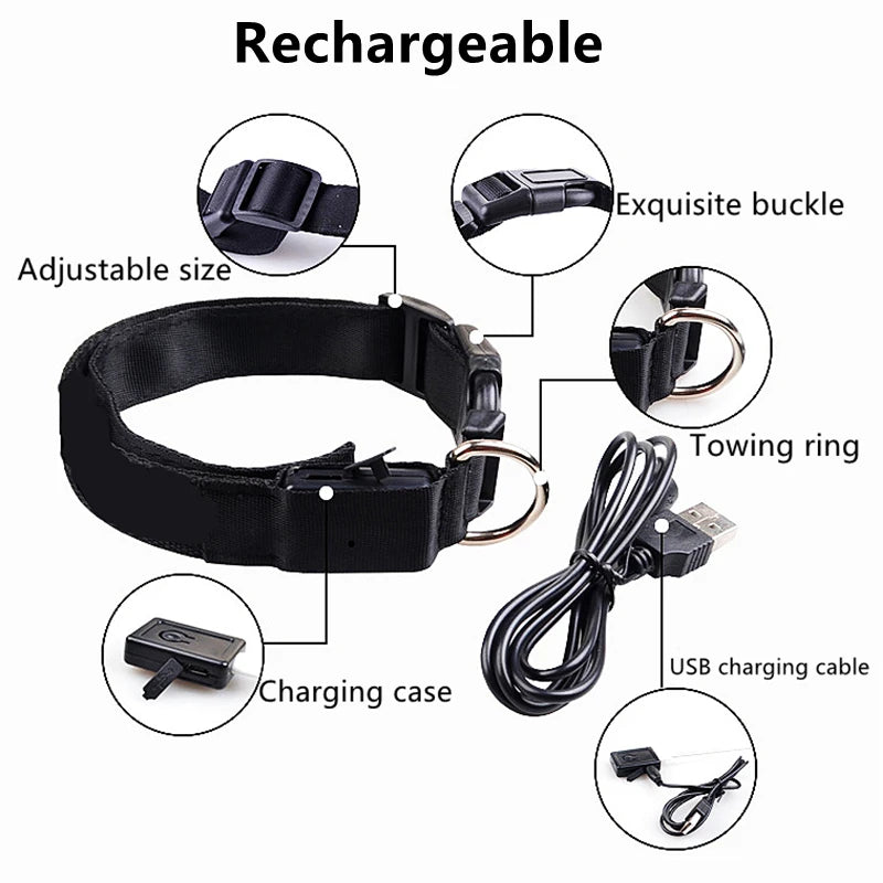 Black dog collar with USB charging cable and charging case on a white background