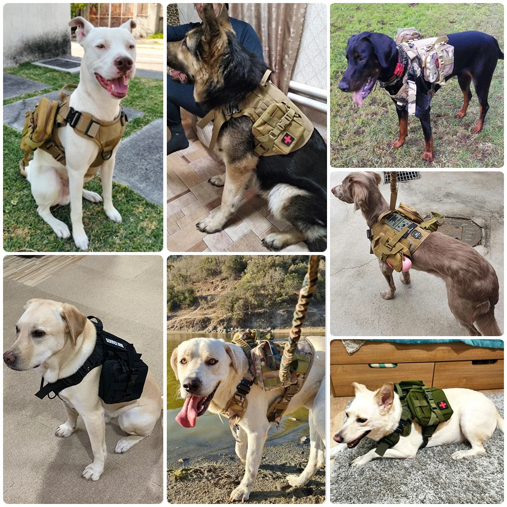 Collage of dogs wearing tactical vests in various outdoor settings.