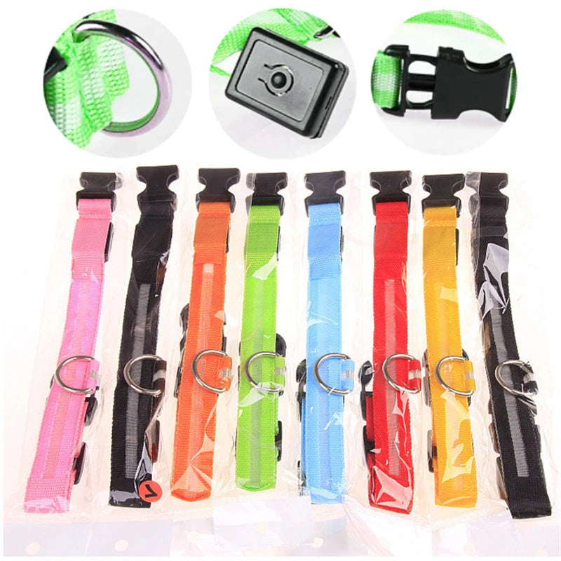 Set of colorful dog collars with buckles on a white background