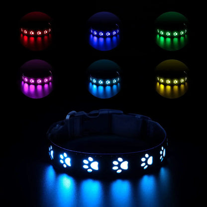 LED dog collar with paw pattern glowing in dark, surrounded by color-changing lights.