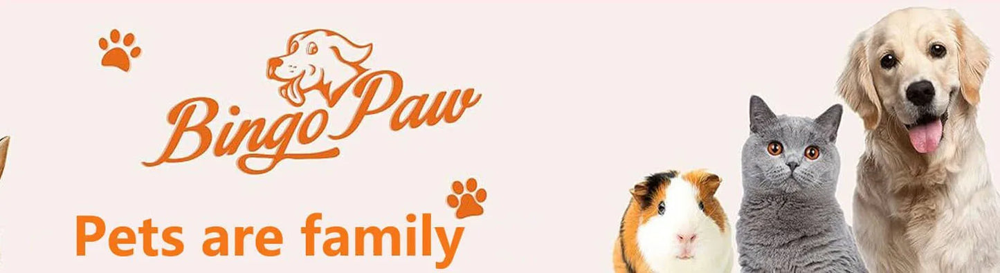 SereneNest Orthopedic Haven