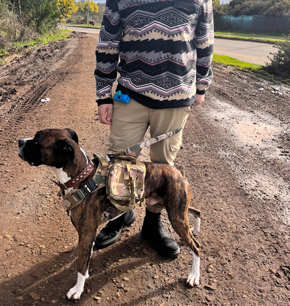 Person wearing a patterned sweater and beige pants with a dog on a dirt road.