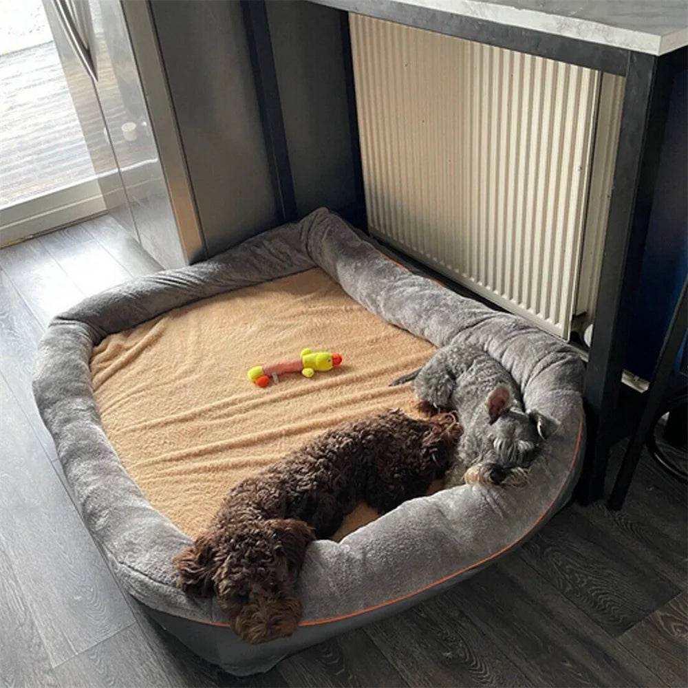 Two dogs lying on a large gray pet bed with a toy inside, in a room with a window and radiator.