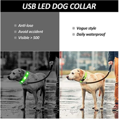 USB LED dog collar with features listed on a gray background, showing dogs wearing the collar in different settings.
