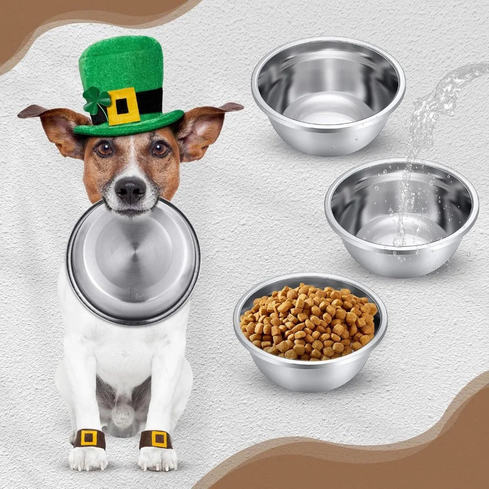 Dog wearing a St. Patrick's Day hat with metal bowls and food on a textured surface