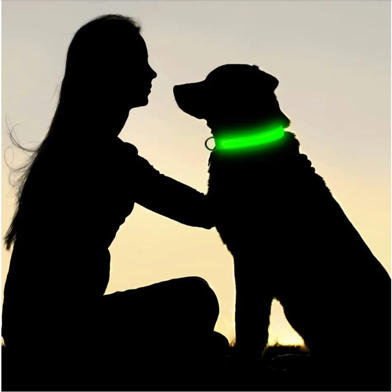 Silhouette of a person petting a dog wearing a green LED collar against a sunset background.
