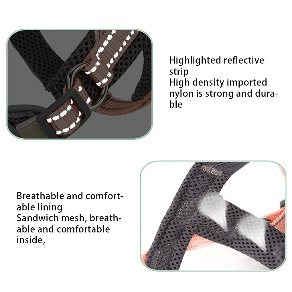Dog harness with reflective strip and breathable lining, highlighting durability and comfort.