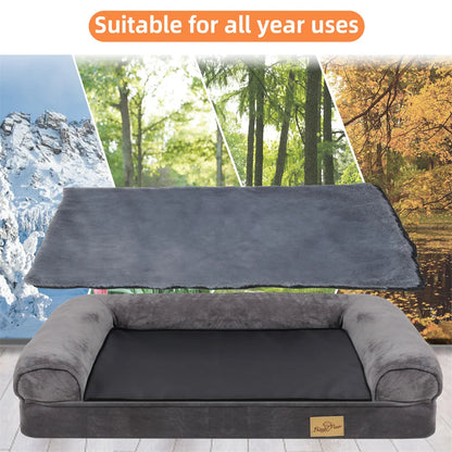 SereneNest Orthopedic Haven