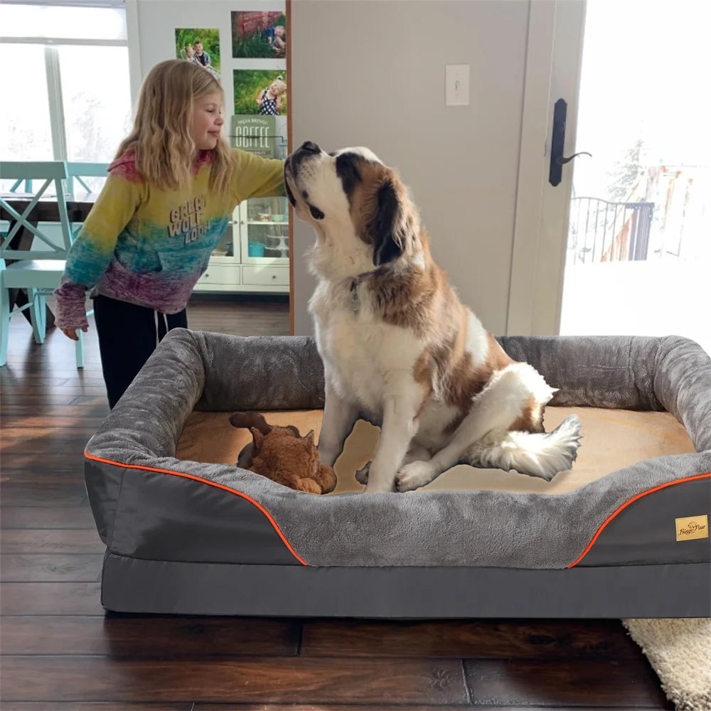 Dog sitting on a large pet bed with a child in a colorful shirt in a home setting.
