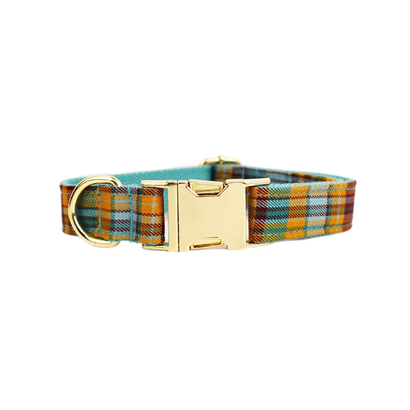 Plaid dog collar with gold buckle on a white background