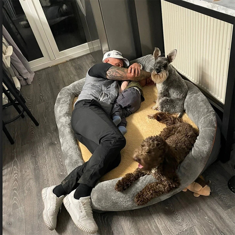 Man lying on a large pet bed with two dogs in a room.