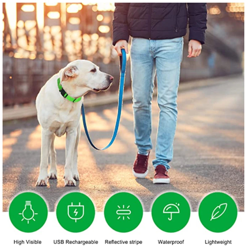 Person walking a dog on a leash with product features highlighted at the bottom.