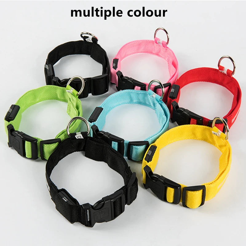 Set of colorful dog collars on a light gray background